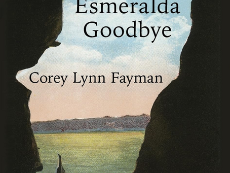 Review: The Novel, The Esmerelda Goodbye…