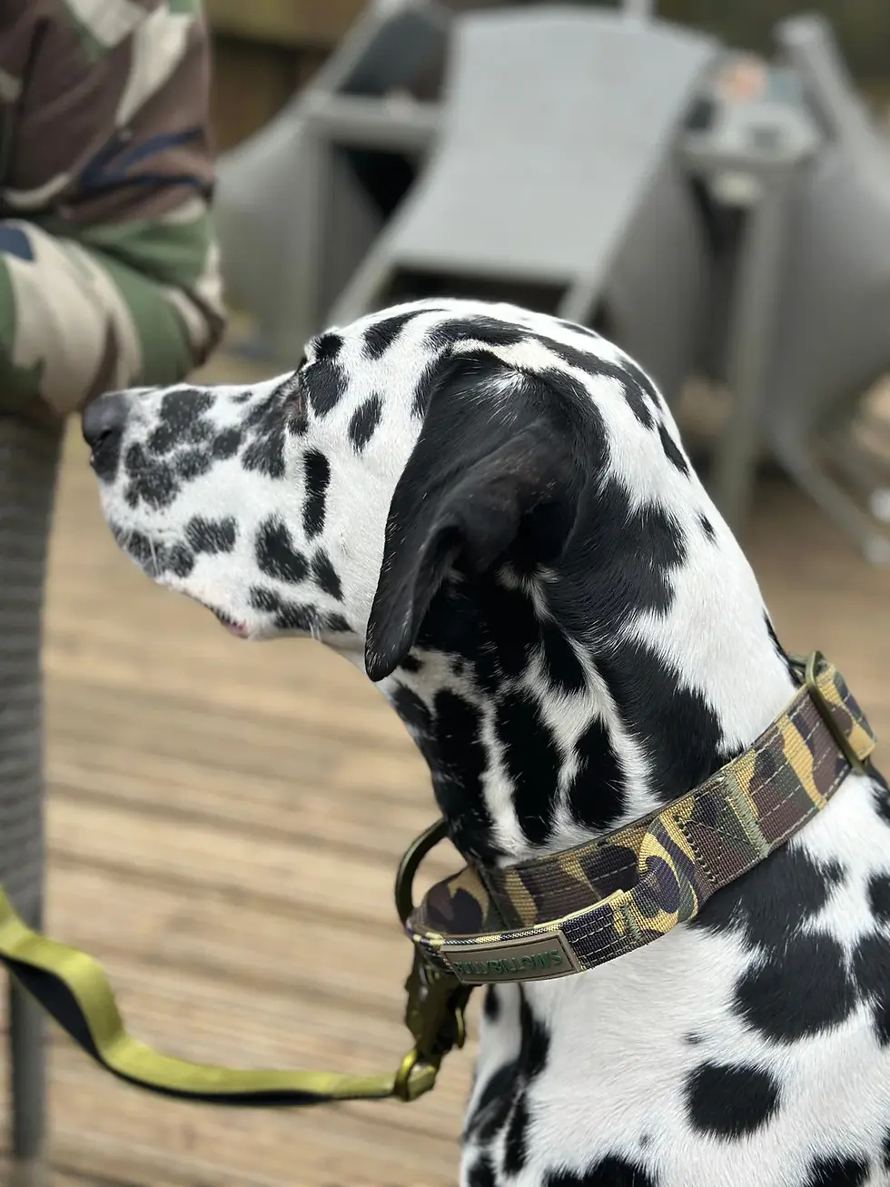 Thumbnail: 4cm LIGHTER Combat Collar | Handle Rated Clip - Camo Edition