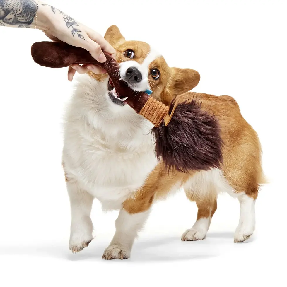 Thumbnail: BARK - Harry Potter Nimbus 2000 (stuffed) Dog Toy