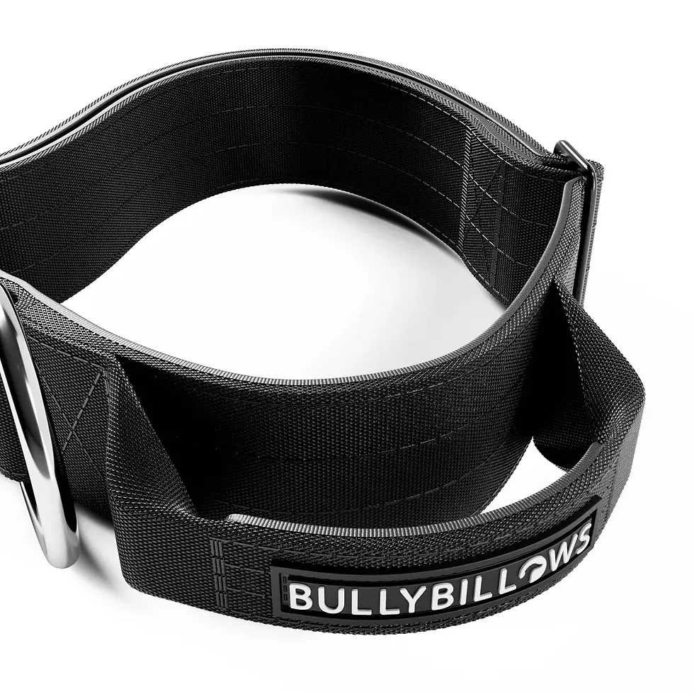 Thumbnail: BullyBillows 5cm Combat Collar | With Handle & Secure Clip