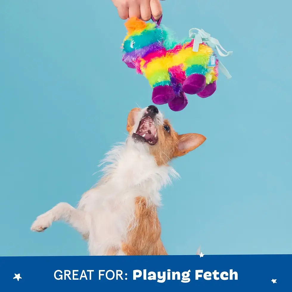 Thumbnail: BARK - Full O' Fluff Pinata Dog Toy