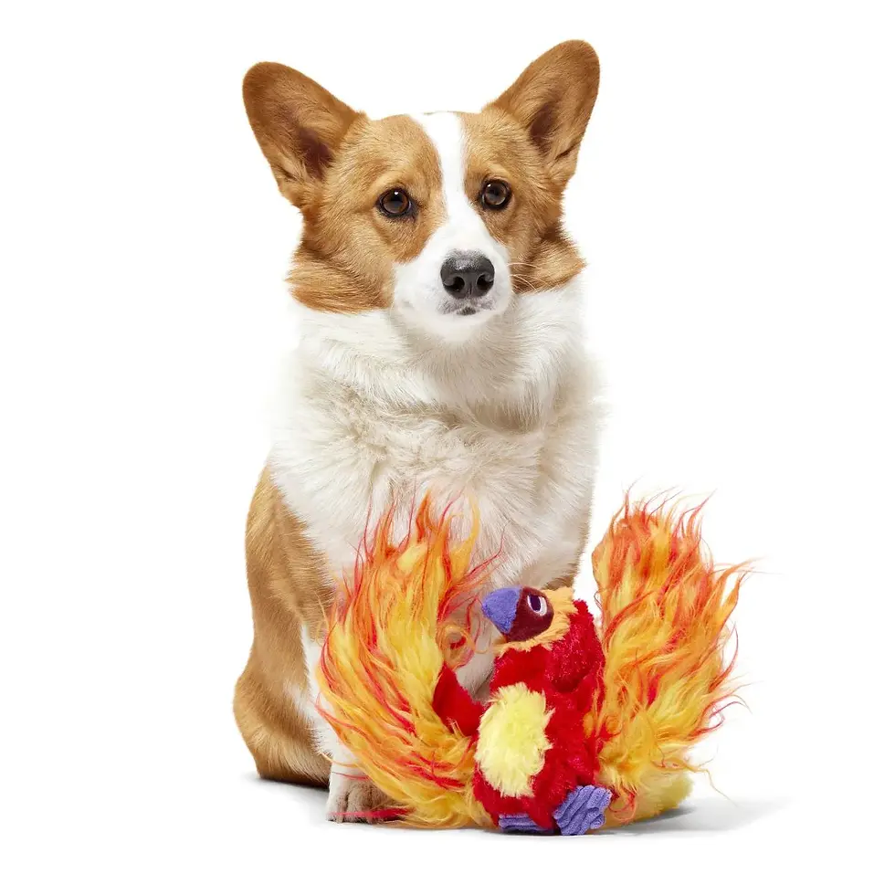 Thumbnail: BARK - Harry Potter Fawkes