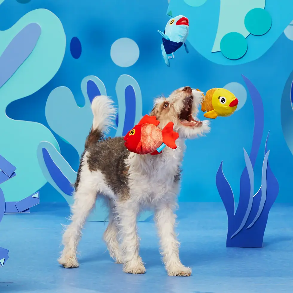 Thumbnail: Bark - The Groupers Dog Toy