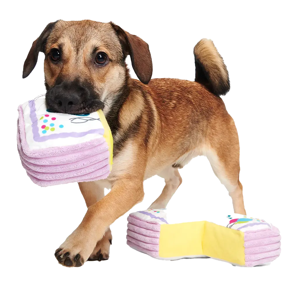 Thumbnail: BARK - Piece of Sheet Cake