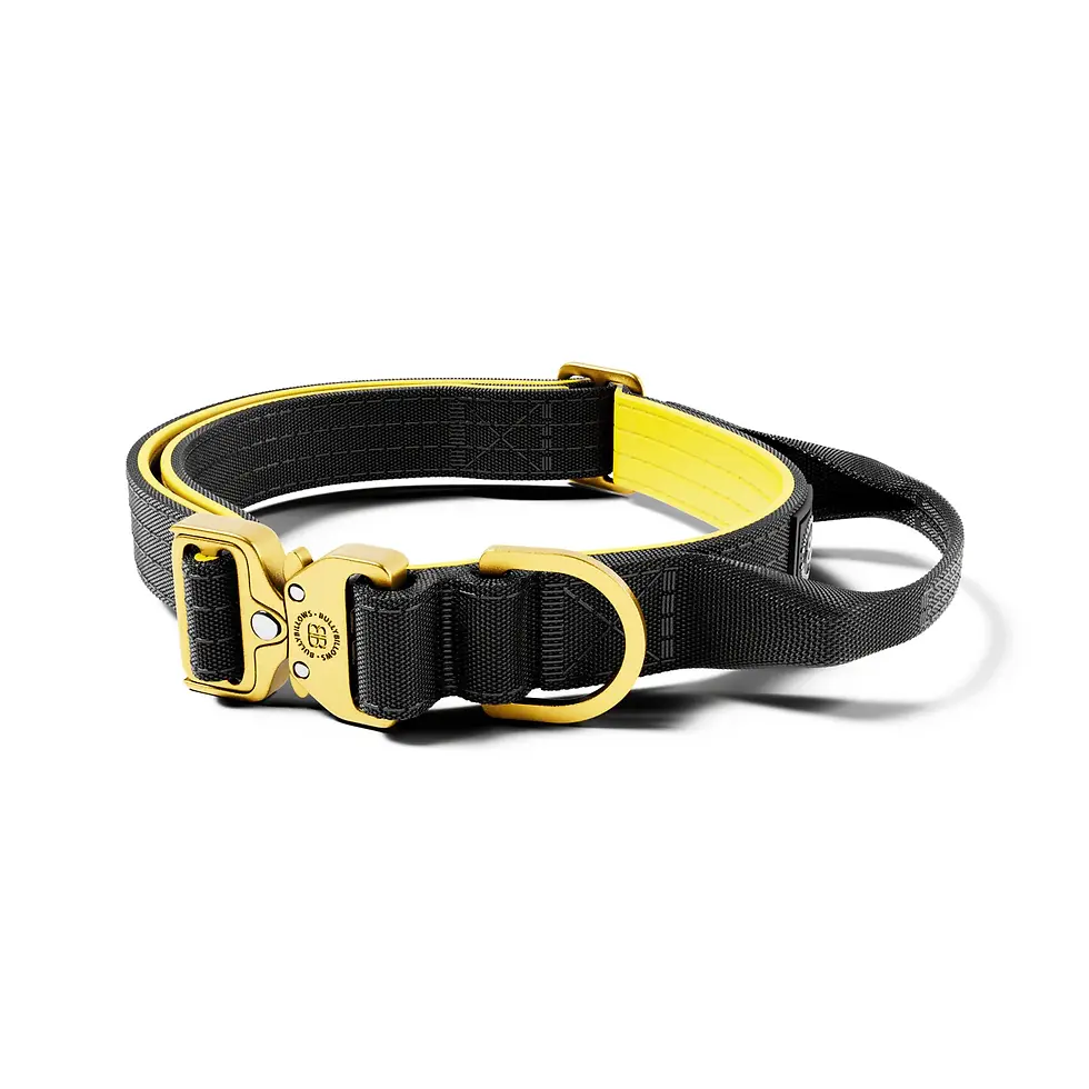 Thumbnail: BullyBillows 2.5cm Lighter Combat Collar | Handle & Rated Clip