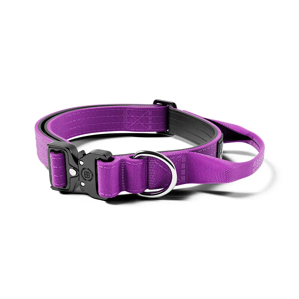 Thumbnail: BullyBillows 2.5cm Combat Collar | With Handle & Rated Clip