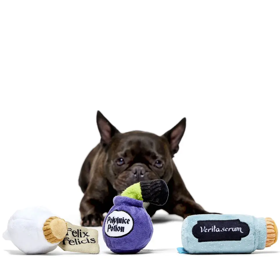 Thumbnail: BARK - Harry Potter Potions Class Pack Dog Toys