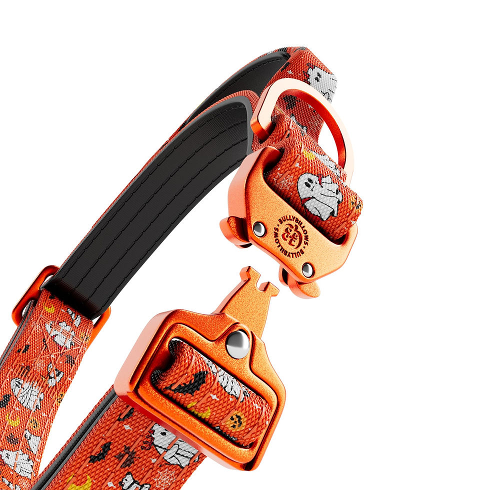 Thumbnail: BullyBillows 2.5cm Lighter Combat Collar - Halloween BooBillows