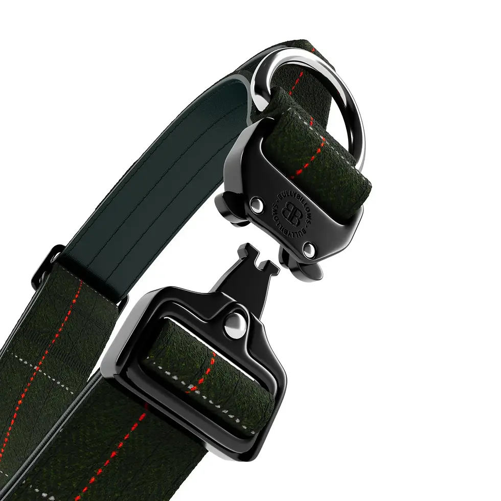 Thumbnail: BullyBillows 4cm Tweed Combat Collar | Handle & Secure Clip - Forest Green - L