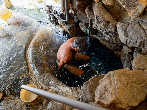 Les bains japonais : les yeux dans les yeux, ou presque...
