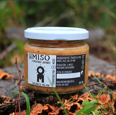 Miso Om Fermentos