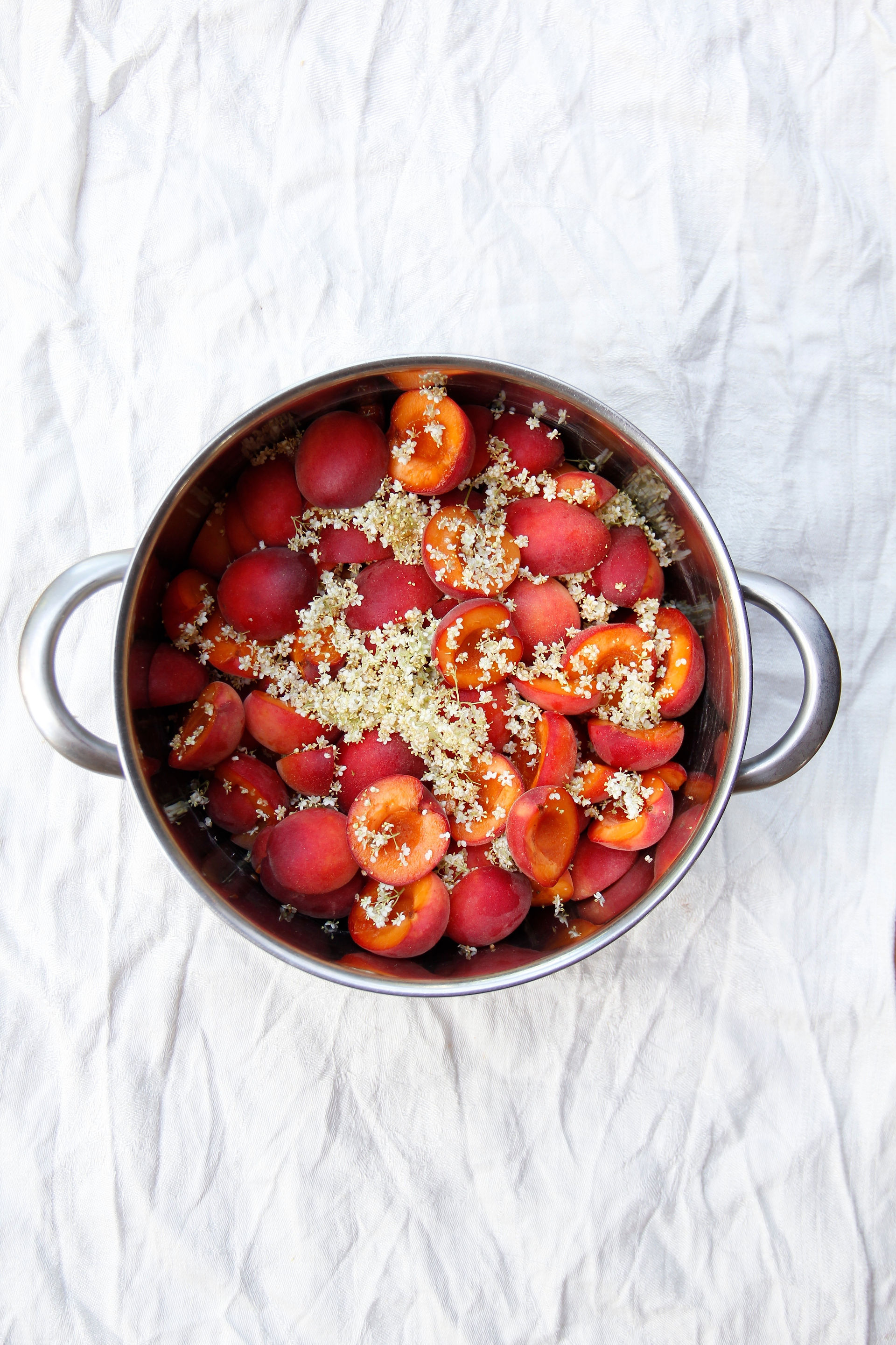 Apricots and Elderflower in shape