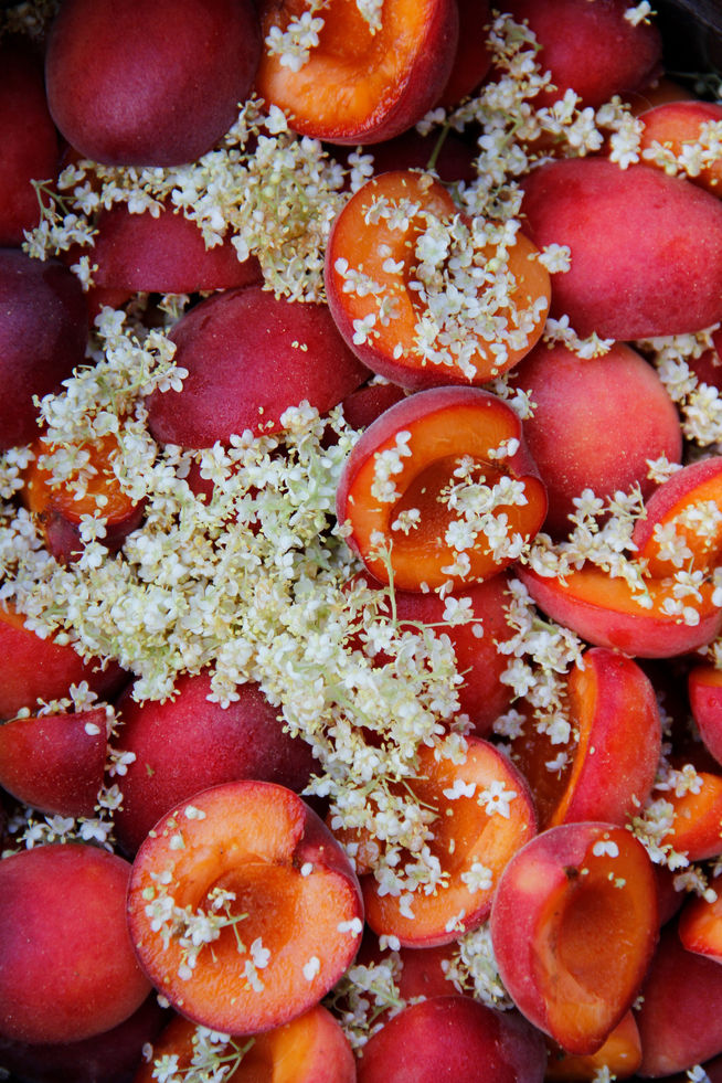 Apricot jam with elderflower