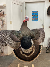 IMG_0420.jpeg