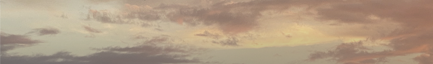 LOGOS FERA_edited_edited_edited.png