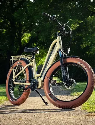 clear lake ebikes.webp