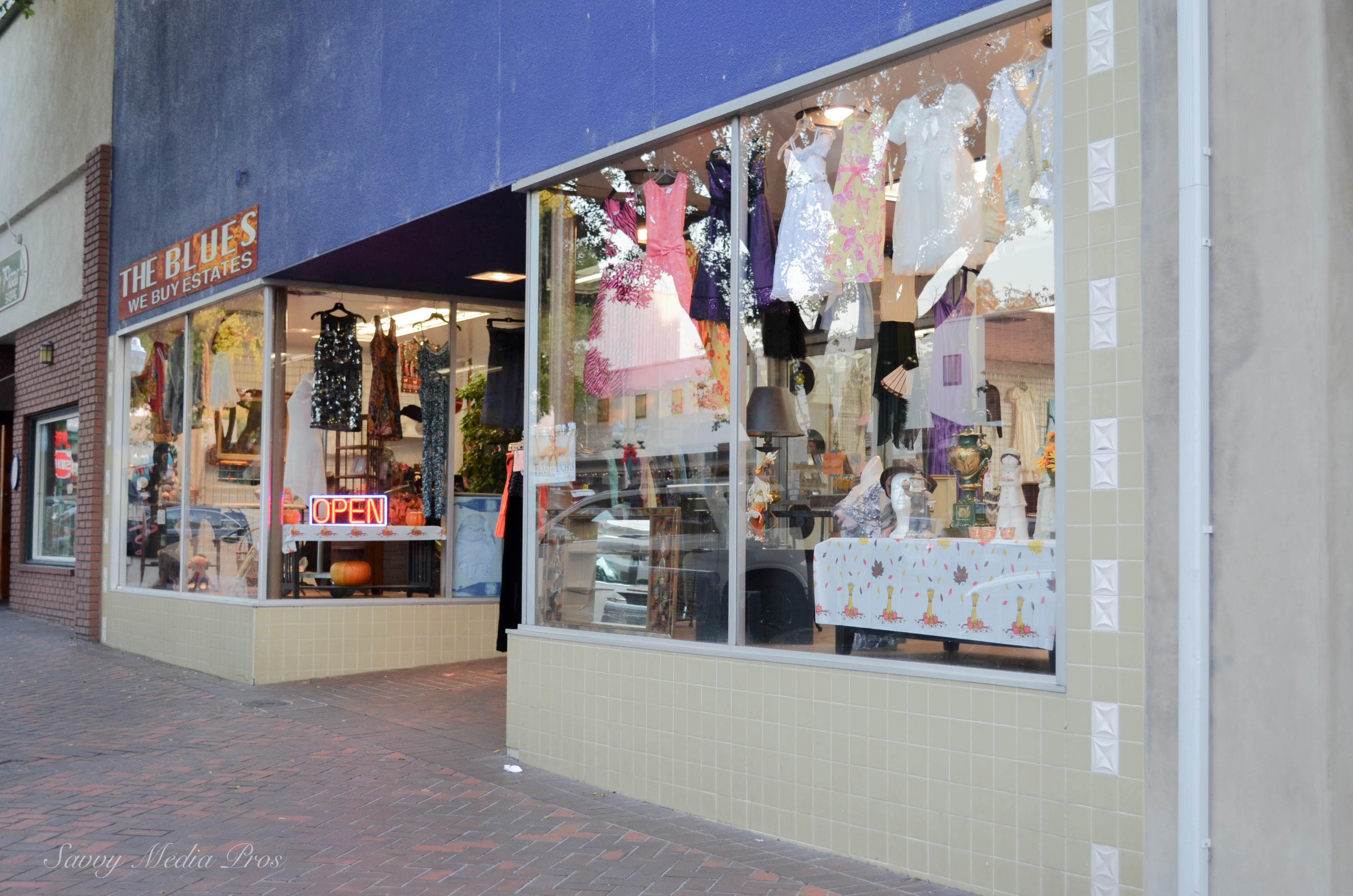 The Blues Estate Store / We Buy Estates / Estate Liquidators