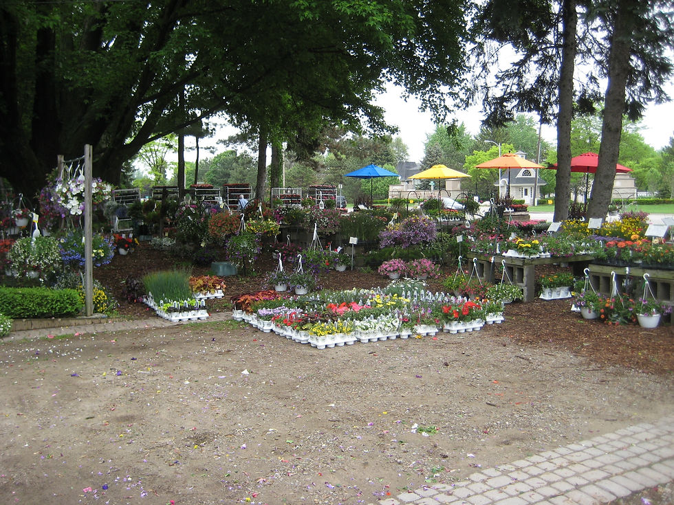Nursery & Garden Center