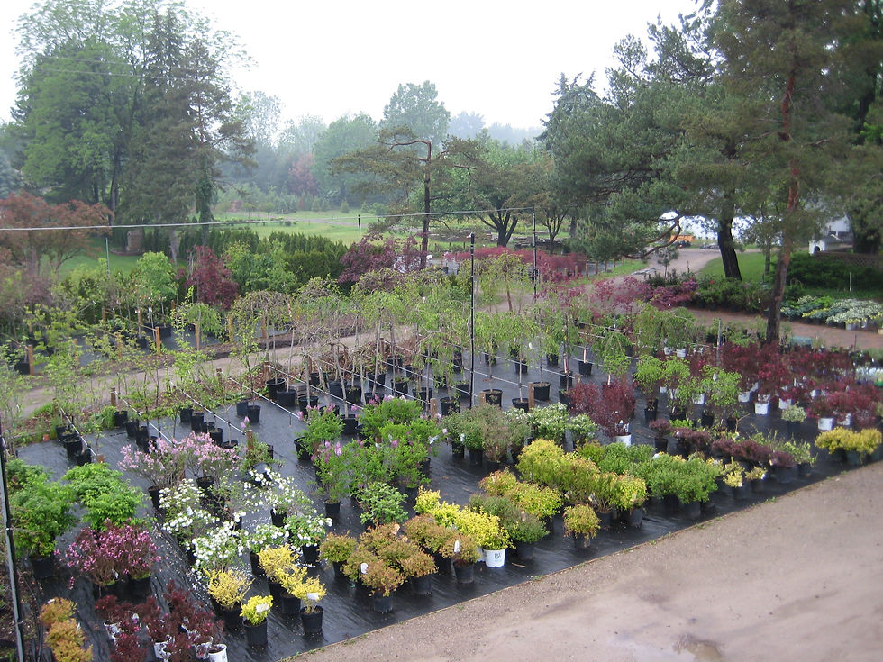 Nursery & Garden Center