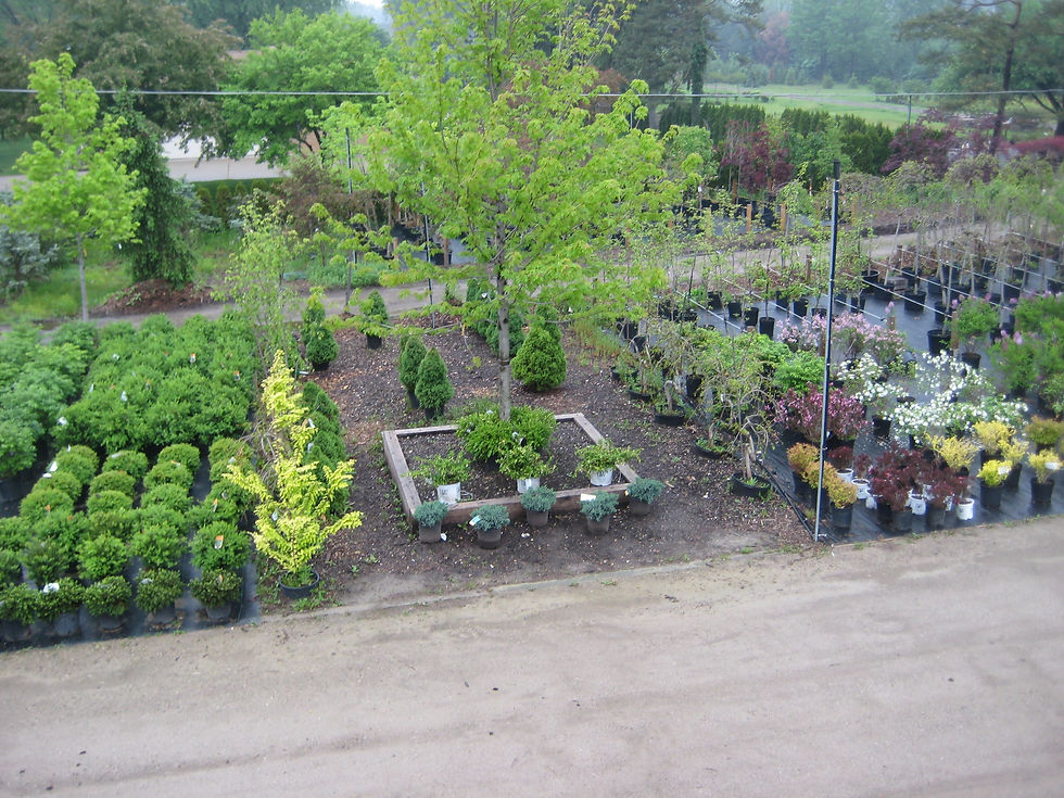 Nursery & Garden Center