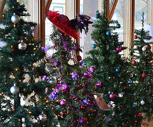 Trees for Events.jpeg