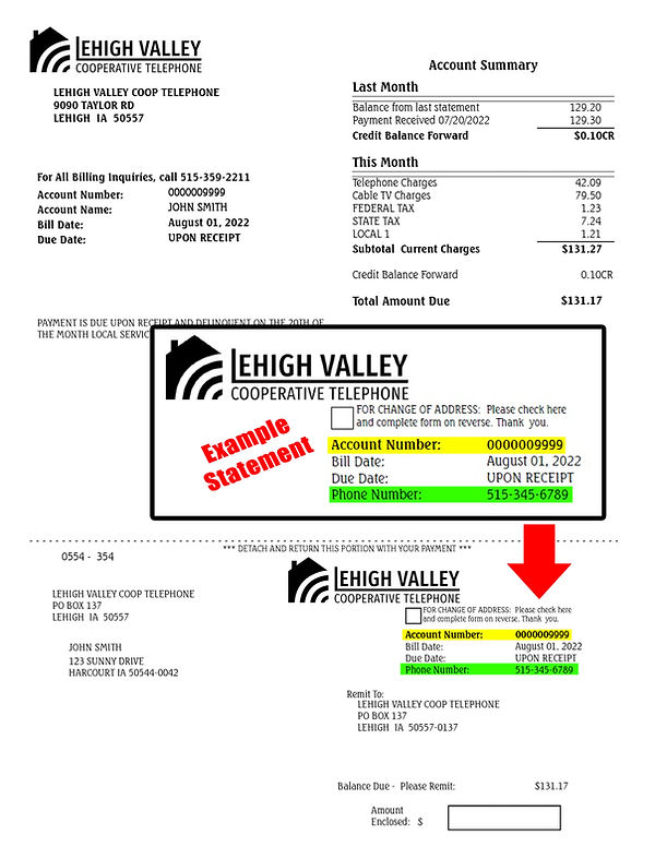 example-bill-WEB (003).jpg