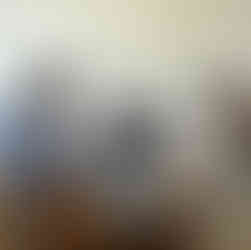 JICEF「キャリアトーク」の朝食・ネットワーキングセッションで、食事を楽しみながら積極的に交流を深める若手メンバーたち。