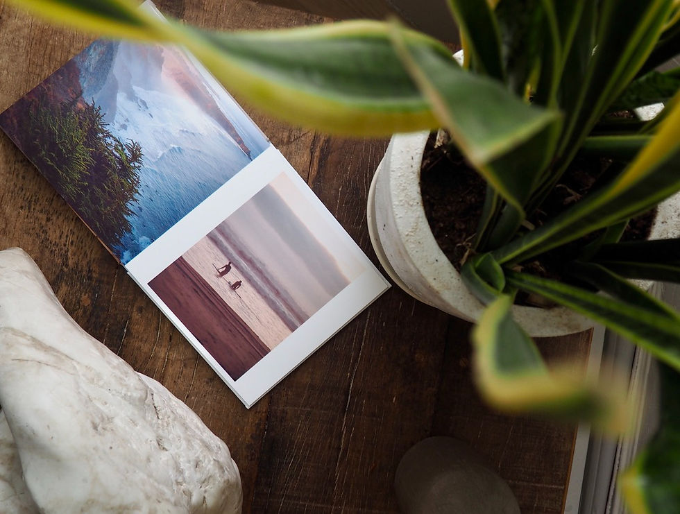 1A552701-47B1-4D44-8B87-088B63ACDB20_1_105_c (1)_edited.jpg