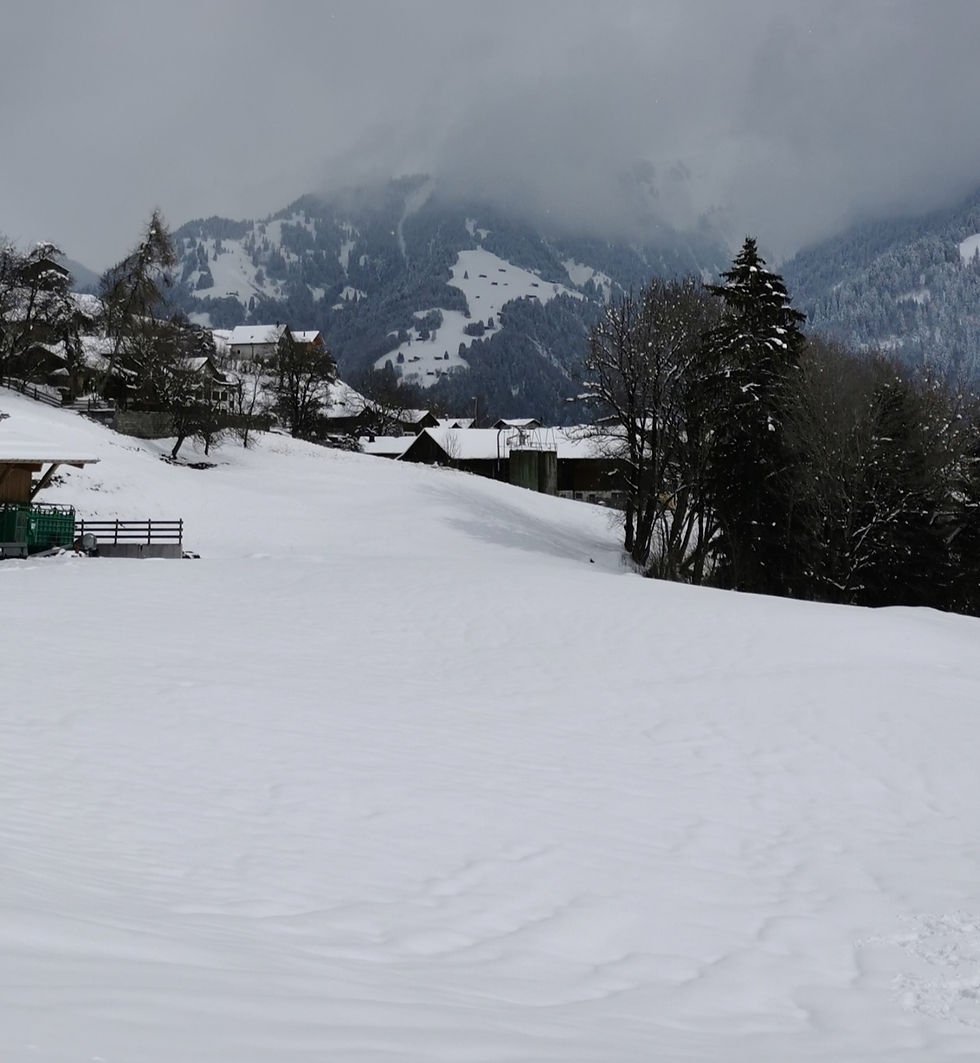 SURVAVIORS – Schlitteln