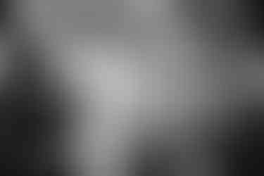 Glückliches Brautpaar verlässt die Zeremonie im KulturGut Wrechen, umgeben von Blütenkonfetti und Seifenblasen, während ihre Gäste mit freudigem Applaus und Jubel den Moment feiern.