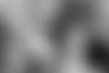 Hochzeitsfoto der freien Trauung im KulturGut Wrechen: Brautpaar hält sich an den Händen und spricht gemeinsam das Ehegelübde während der Zeremonie inmitten der Natur.