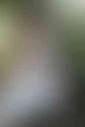 Brautpaar küsst sich in der idyllischen Naturlandschaft des KulturGut Wrechen auf einer Holzbank mit einem Schild, auf dem ‚Lieblingsplatz‘ steht – eine romantische Kulisse für ihren ganz besonderen Tag.