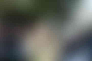 Freie Trauzeremonie mit Trauredner, Brautpaar und Gästen vor malerischer See-Kulisse auf dem KulturGut Wrechen.