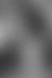 Brautpaar posiert vor dem historischen Gutshaus, umgeben von der charmanten Architektur und der idyllischen Landschaft.“