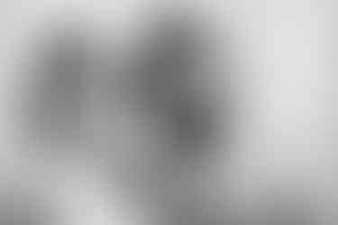 Frisch verheiratetes Brautpaar im Flur des Standesamts Neukölln – Hochzeitsfotograf Berlin, Spreekind-Fotografie