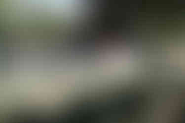 Hochzeitsfoto der freien Trauung im KulturGut Wrechen: Trauredner, Brautpaar und Gäste inmitten der idyllischen Naturkulisse während der Zeremonie.