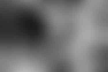 Hochzeitsfoto der freien Trauung im KulturGut Wrechen: Das Brautpaar schaut sich während der Zeremonie, kurz vor dem Ja-Wort, mit einer Mischung aus ernster und lustiger Miene an.