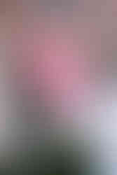 Selbstgeknüpftes Makramee-Deko-Element in Rottönen, Teil einer entspannten Boho-Hochzeit, hängt an einer Schnur vor dem Eingang der Feierlichkeit.