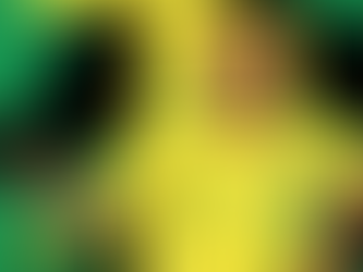 Começa a jornada do hexa: Seleção Brasileira enfrenta Marrocos na estreia do Mundial