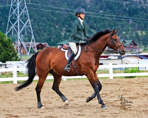equestrian school