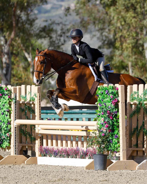 equestrian school