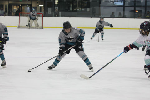 escuela de hockey