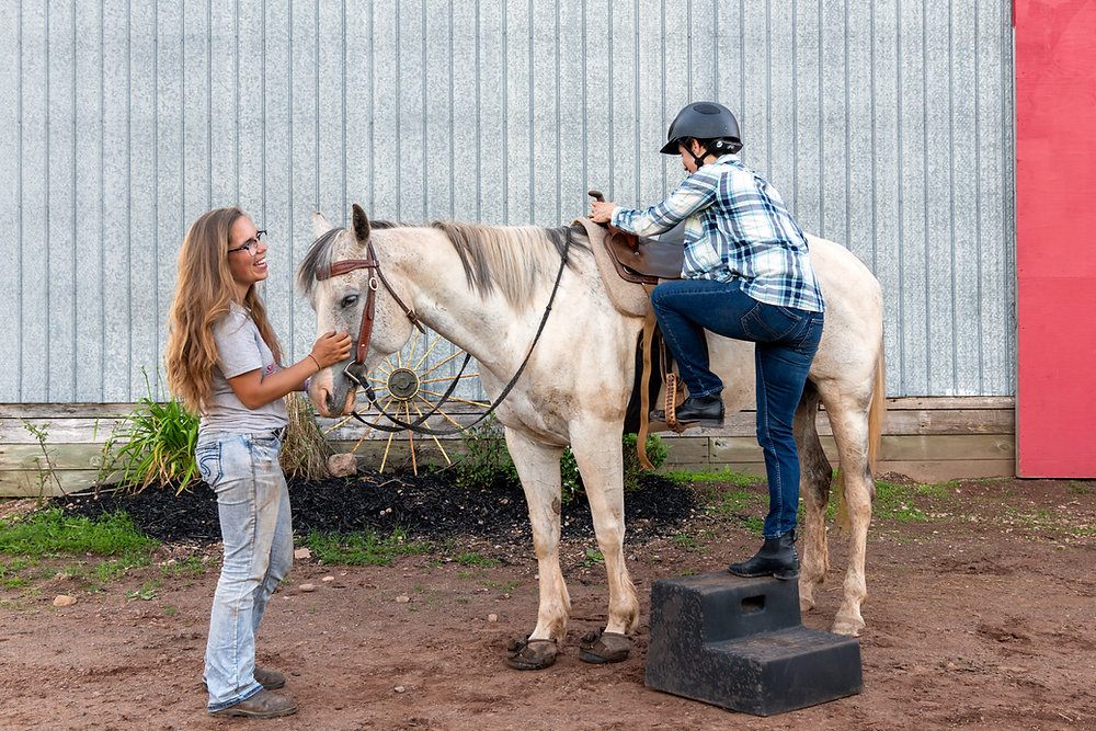 Horsey Riders A guide to new riders