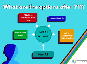 post 16 options 3.png