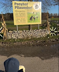 Ponyhof bei München