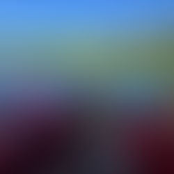 Wöhrseebad in Burghausen