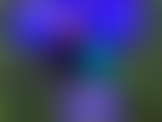 Las Barrileras Brillan como Contendientes Internacionales en el Campeonato Mundial Juvenil y Adolescente de la NBHA 2024