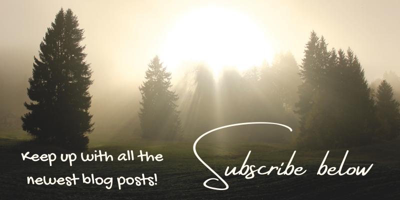 Keep up with all the newest blog posts! Subscribe below. On background of the sun shining over pine trees.