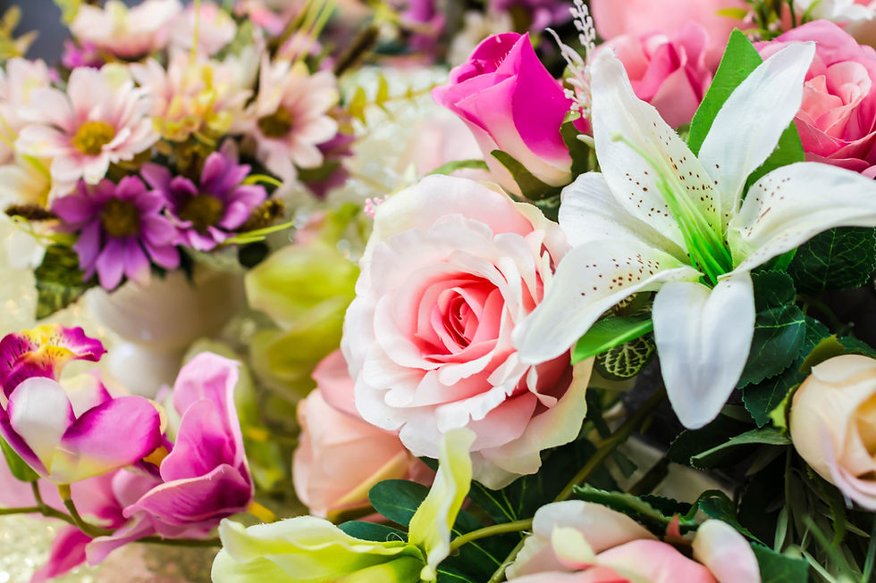 From Seed to Bloom: Nature’s Quiet Masterpiece Unfolding Petal by Petal