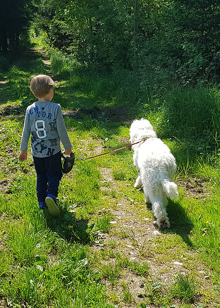 Kind und Hund spazieren